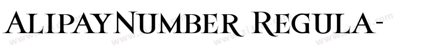 AlipayNumber Regula字体转换